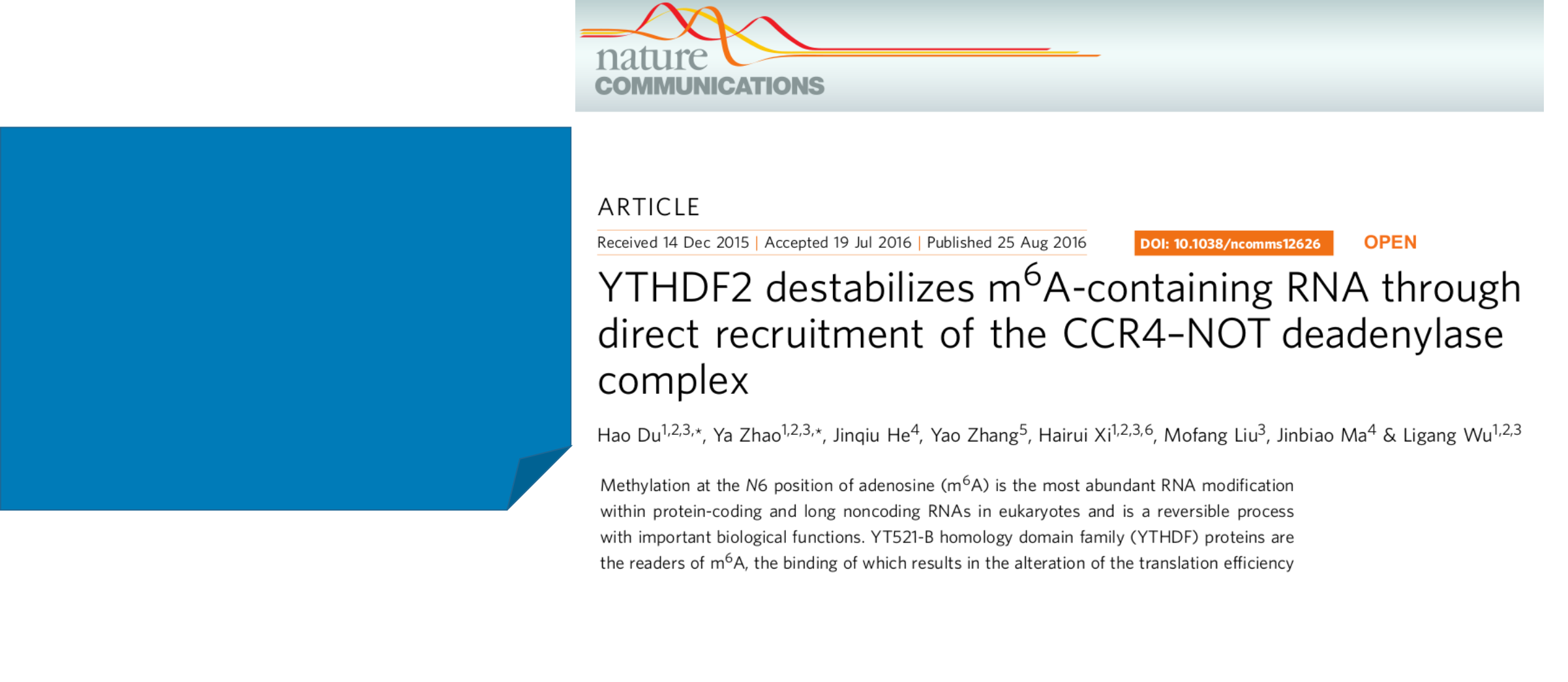 Ythdf2 Function Ligang Wu Lab @ SIBCB